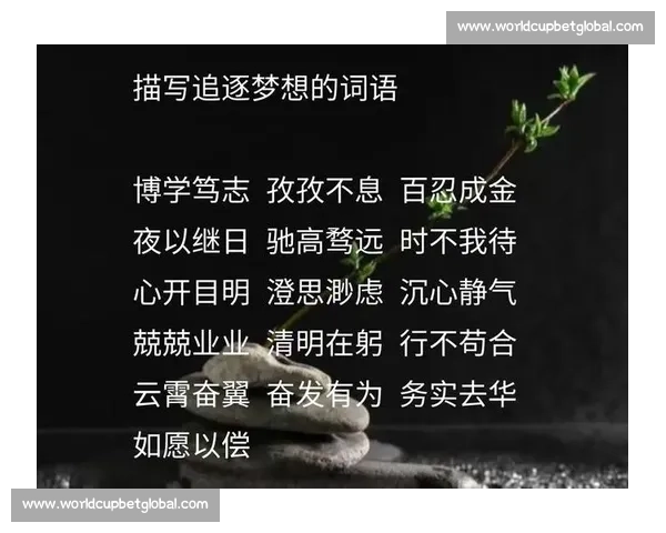 追逐梦想的脚步，迈阿密2026世界杯永不停止